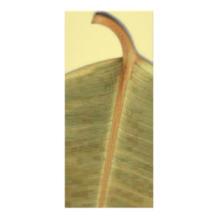 Green Leave Rack Card