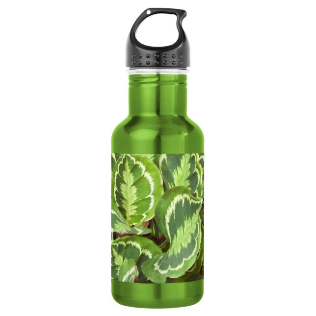 Green leaves 532 ml water bottle (Front)