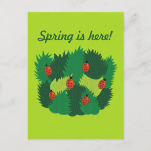 Green Leaves And Ladybugs Spring Is Here Postcard