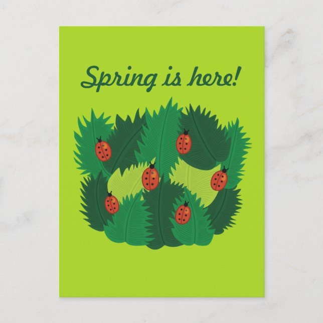 Green Leaves And Ladybugs Spring Is Here Postcard (Front)