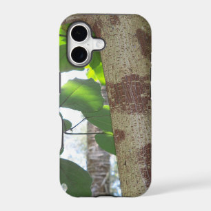 green leaves and tree trunk with cool bark