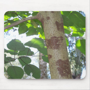 green leaves and tree trunk with cool bark mouse pad