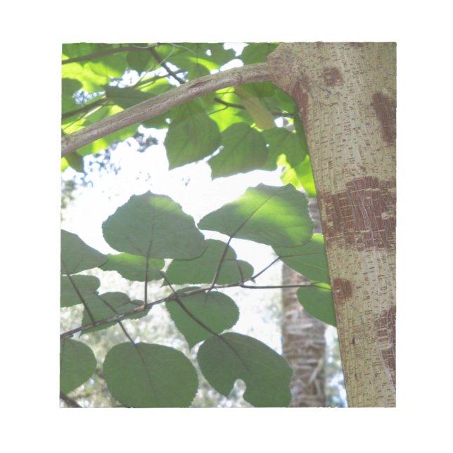 green leaves and tree trunk with cool bark notepad (Front)