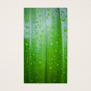 Green leaves background