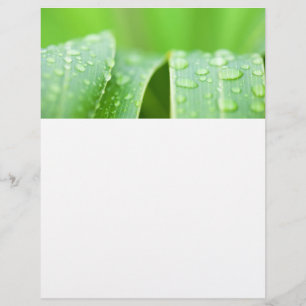 Green leaves background flyer