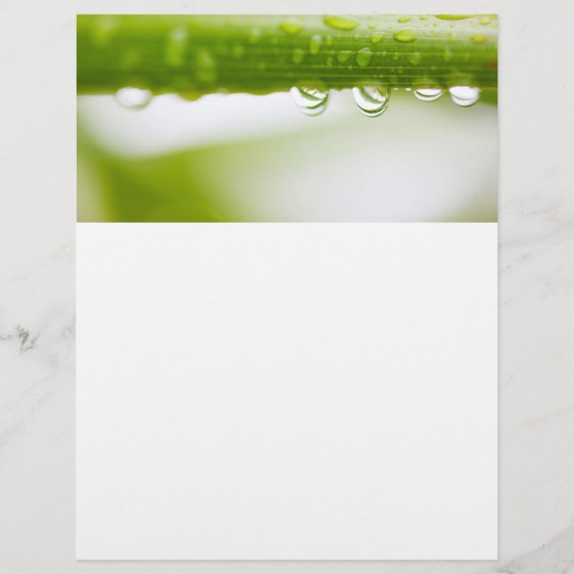 Green leaves background flyer (Front)