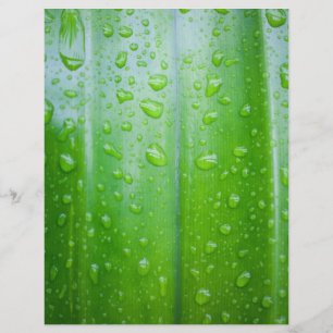 Green leaves background flyer