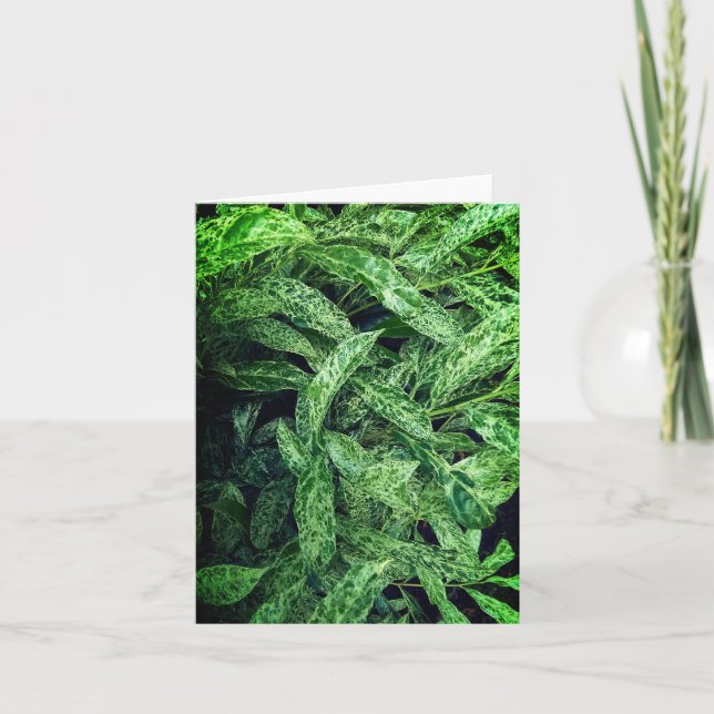 Green leaves card (Front)