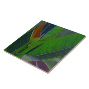 Green Leaves Close-Up Ceramic Tile