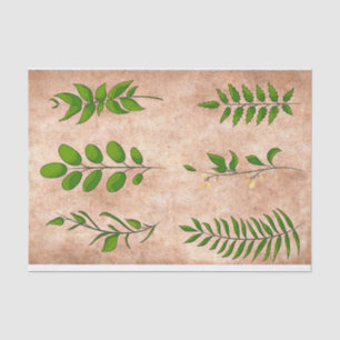 Green leaves foliage plants distressed faded sepia tissue paper