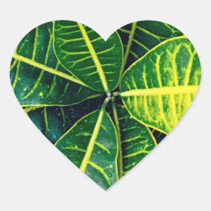 Green leaves heart sticker