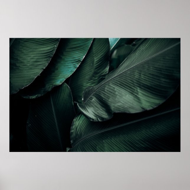 GREEN LEAVES MACRO PHOTOGRAPHY POSTER (Front)