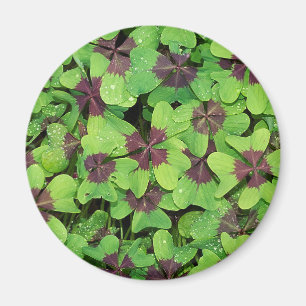 Green Leaves Magnet