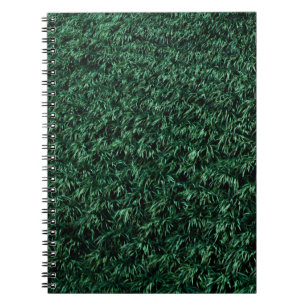 Green leaves notebook