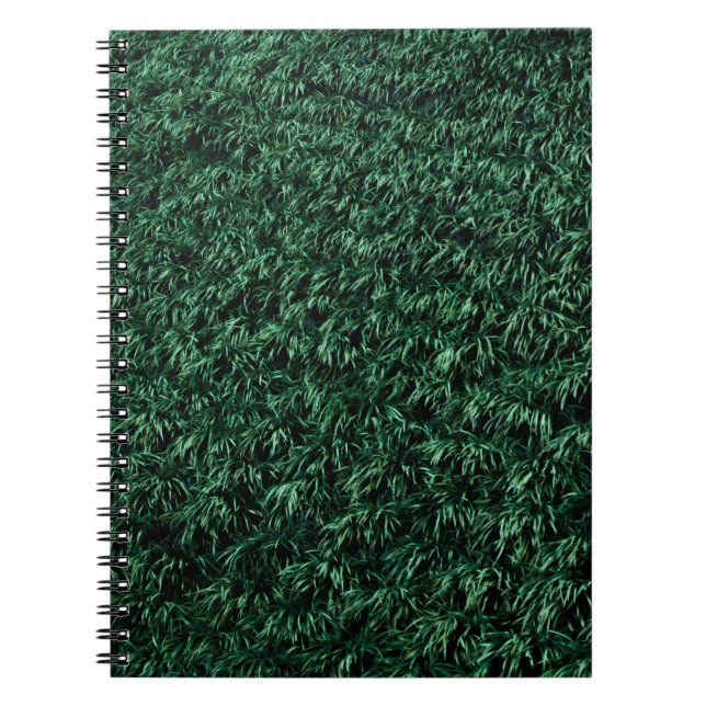 Green leaves notebook (Front)