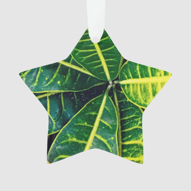 Green leaves ornament (Front)