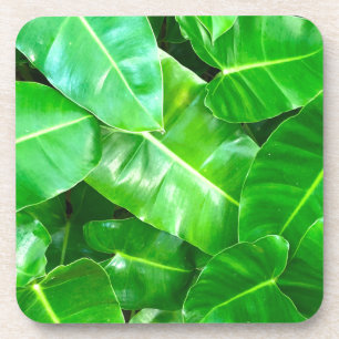 Green leaves Palm Leaf tropical foliage jungle Coaster