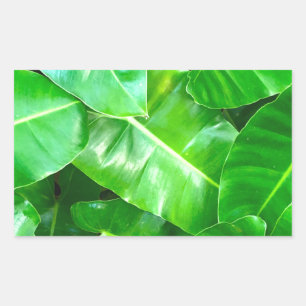 Green leaves Palm Leaf tropical foliage jungle  Rectangular Sticker