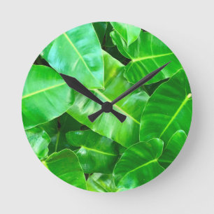 Green leaves Palm Leaf tropical foliage jungle Round Clock