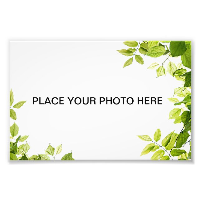 Green leaves photo print (Front)