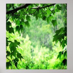 Green Leaves Poster