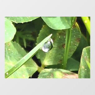Green Leaves Romania - Botanical Foliage Wall Art