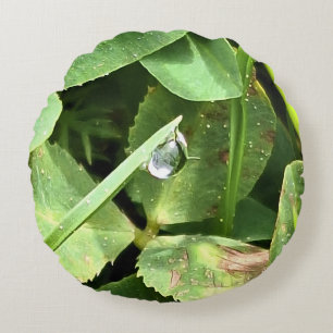 Green Leaves Romania - Botanical Foliage Wall Art Round Cushion