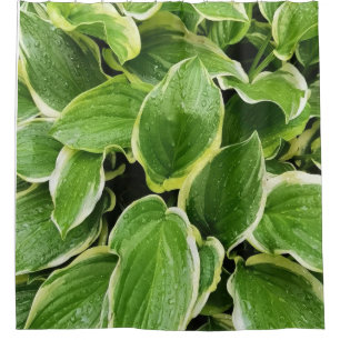 green leaves shower curtain