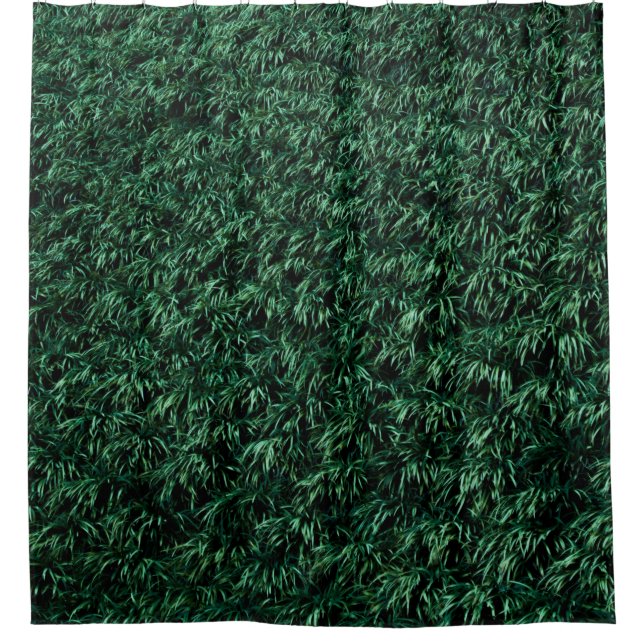 Green leaves shower curtain (Front)