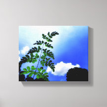 Green leaves, sky and clouds background