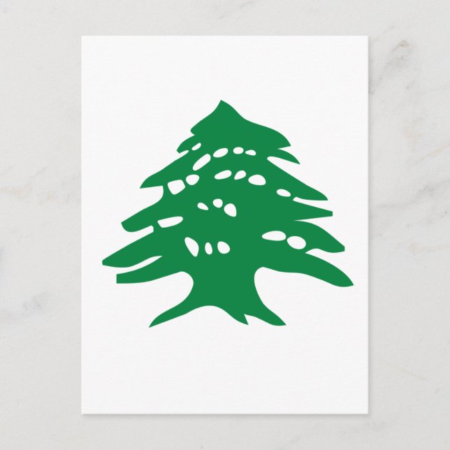 Green Lebanon Cedar Postcard (Front)