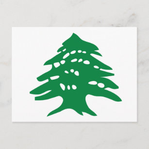 Green Lebanon Cedar Tree Postcard