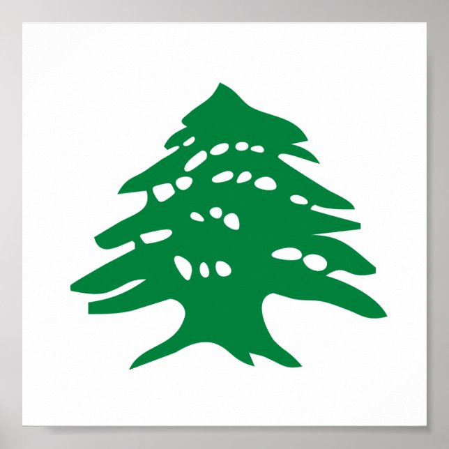 Green Lebanon Cedar Tree Poster (Front)