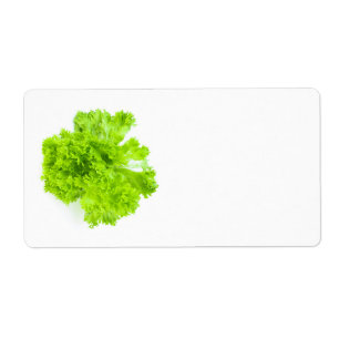 Green lettuce