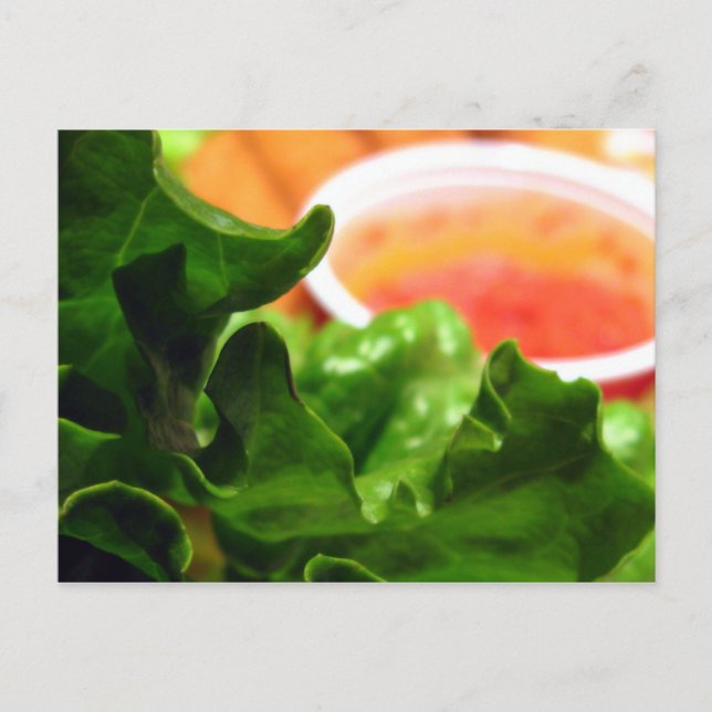 Green Lettuce Leaf Photo Postcards (Front)