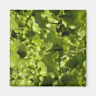 Green lettuce magnet