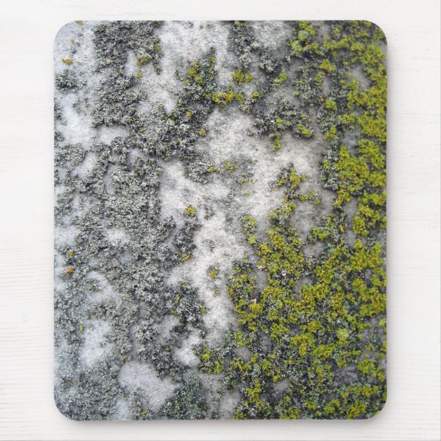 Green lichen on granite mouse pad (Front)