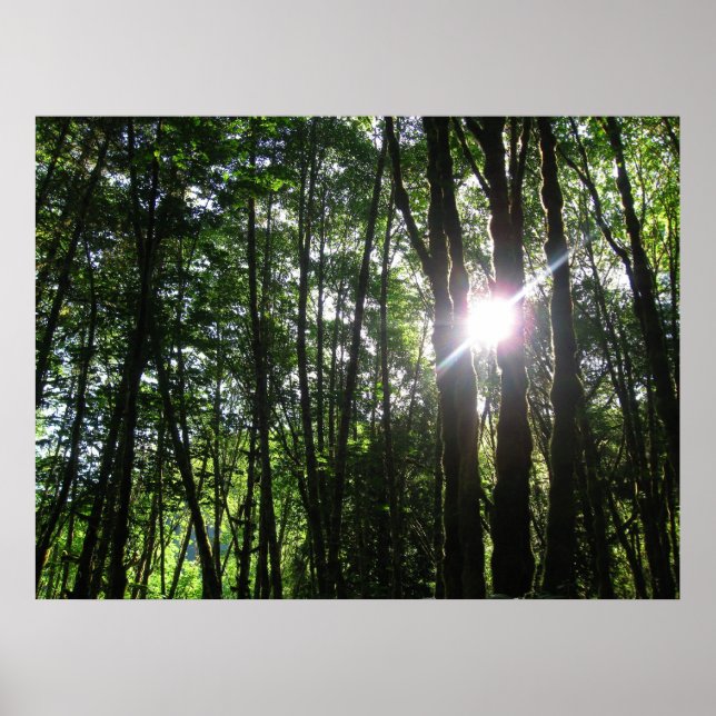 Green Light.. Poster (Front)