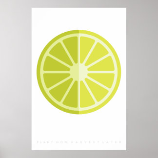 Green Lime Retro Fruit Poster 60's 70's Quote