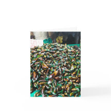 Green Lipped Mussels For Sale Folded Holiday Card