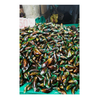Green Lipped Mussels For Sale Glossy Poster