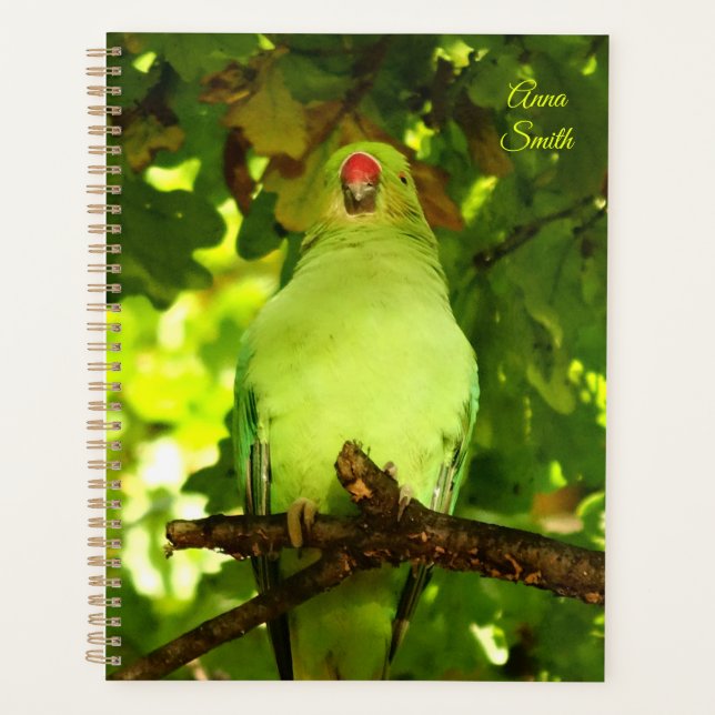 Green Little Parrot Bird  Planner (Front)
