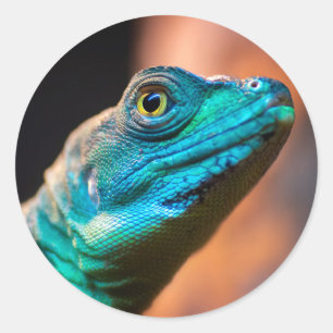 Green lizard classic round sticker