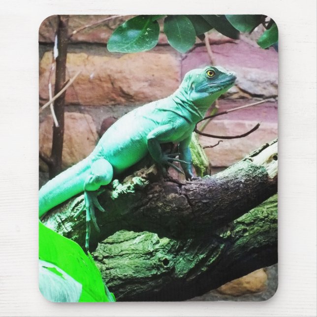 Green lizard mouse pad (Front)