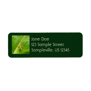 Green Lizard on Green Leaf Return Address Label