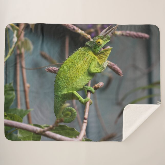 GREEN LIZARD SHERPA BLANKET (Front (Horizontal))