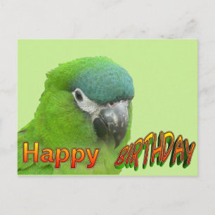 Green Lorikeet Happy Birthday Cust. Postcard