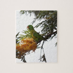 GREEN LORIKEET IN RURAL QUEENSLAND AUSTRALIA JIGSAW PUZZLE