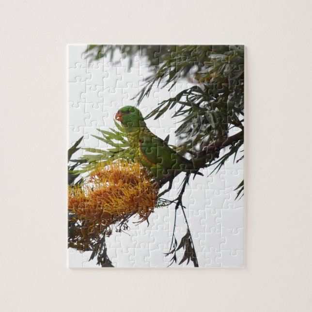 GREEN LORIKEET IN RURAL QUEENSLAND AUSTRALIA JIGSAW PUZZLE (Vertical)