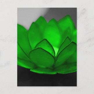 Green Lotus Postcard